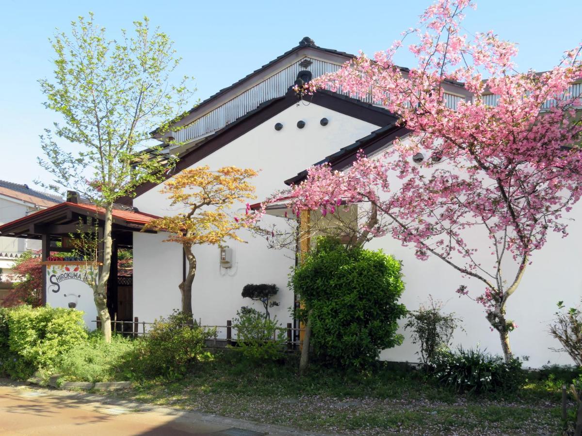 Shirokuma Inn Toyama Station Buitenkant foto